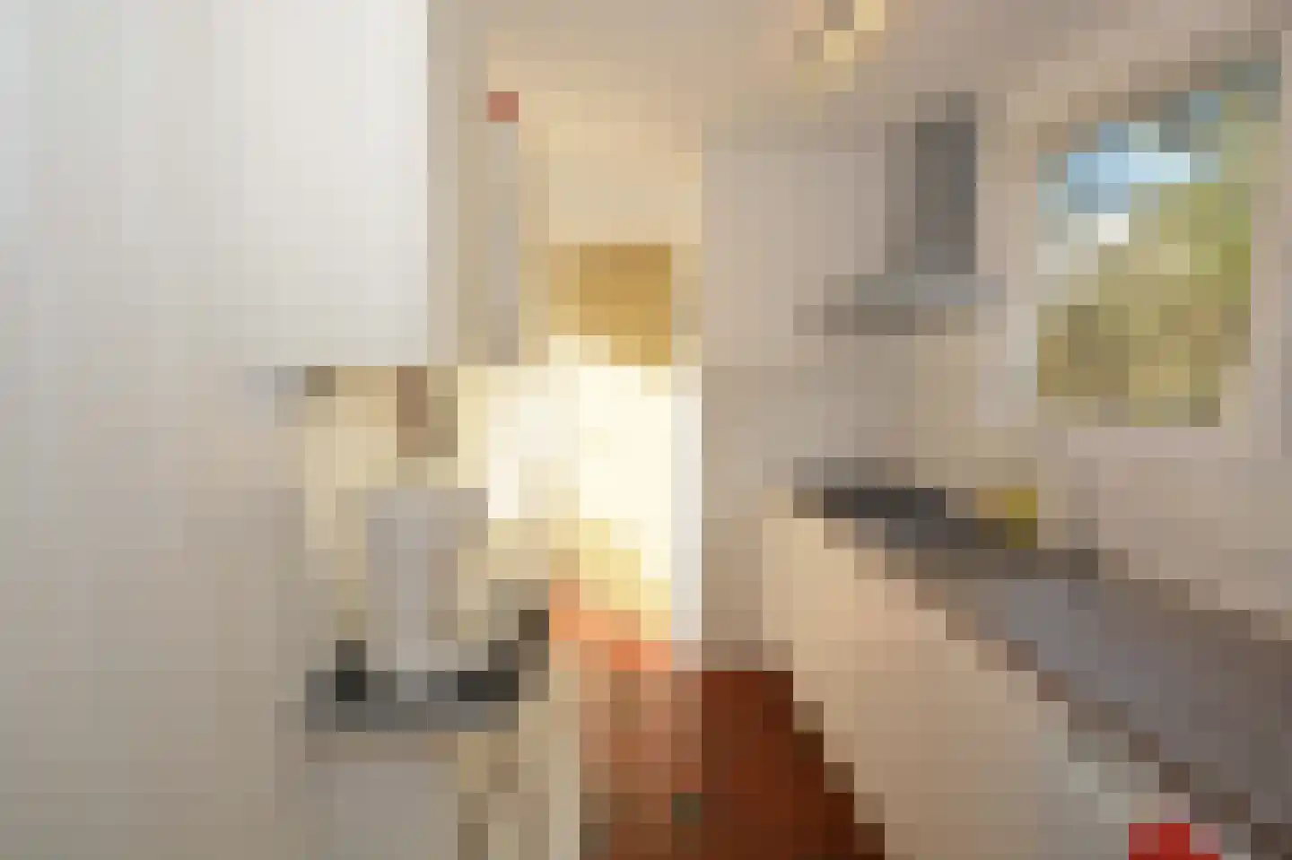 Louwvlakte 8 Schiermonnikoog thumbnail 12