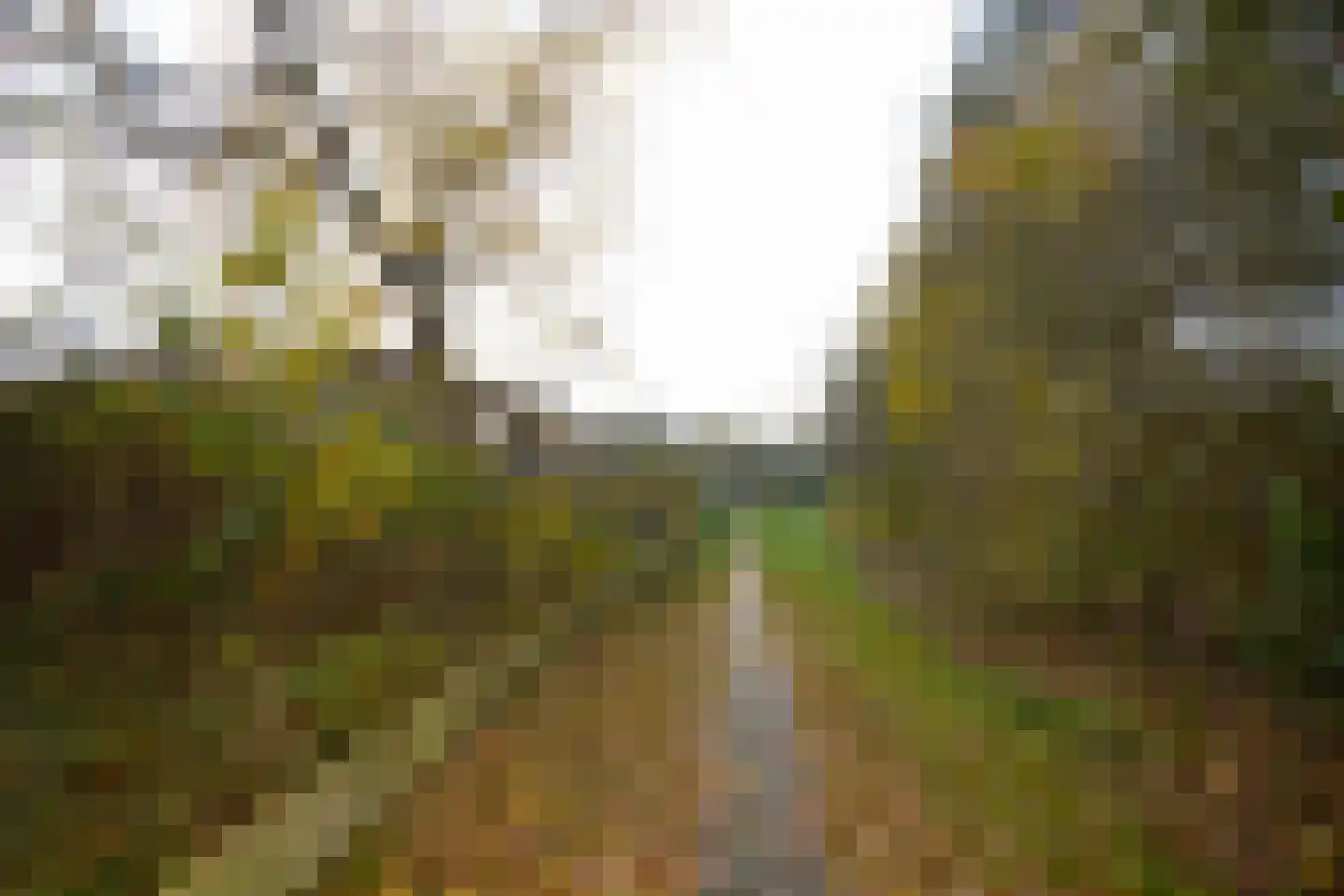 Louwvlakte 8 Schiermonnikoog thumbnail 25