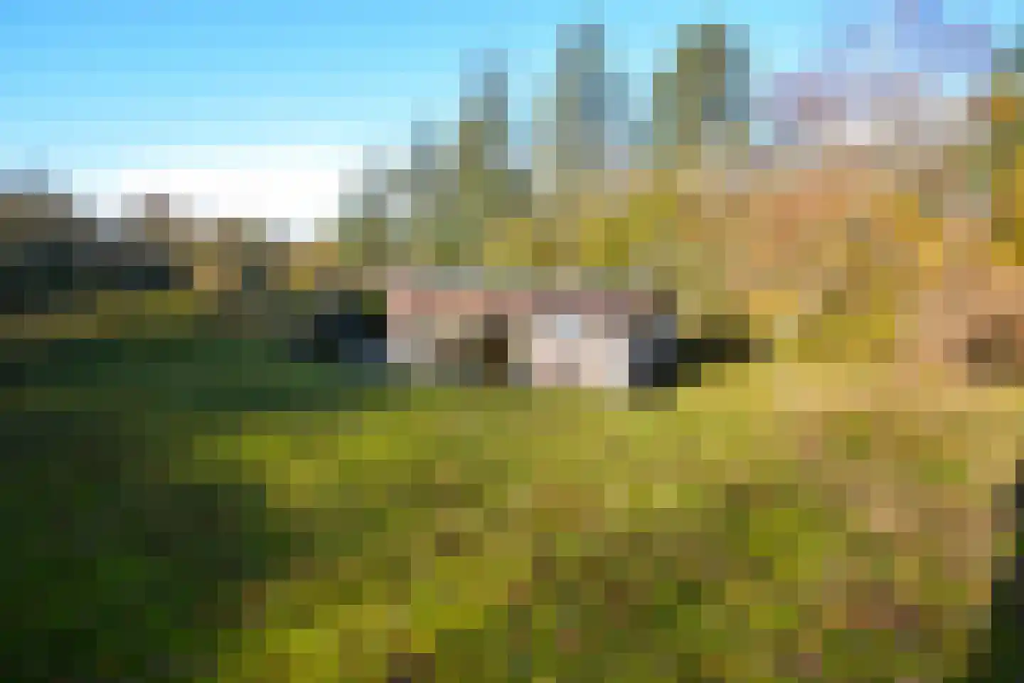 Louwvlakte 8 Schiermonnikoog thumbnail 4
