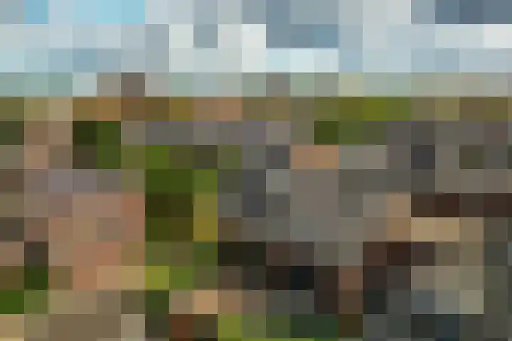 Lovaniostraat 20 Roermond thumbnail 35