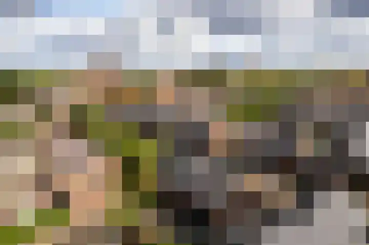 Lovaniostraat 20 Roermond thumbnail 36