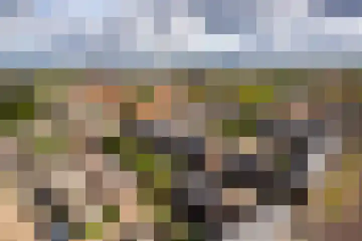 Lovaniostraat 20 Roermond thumbnail 37