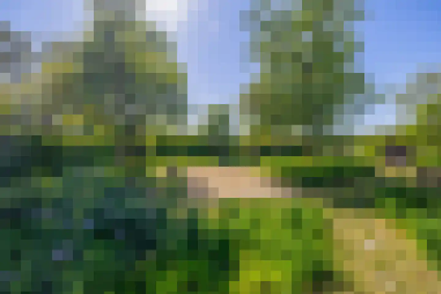 Lovendaal 9 Grubbenvorst thumbnail 41