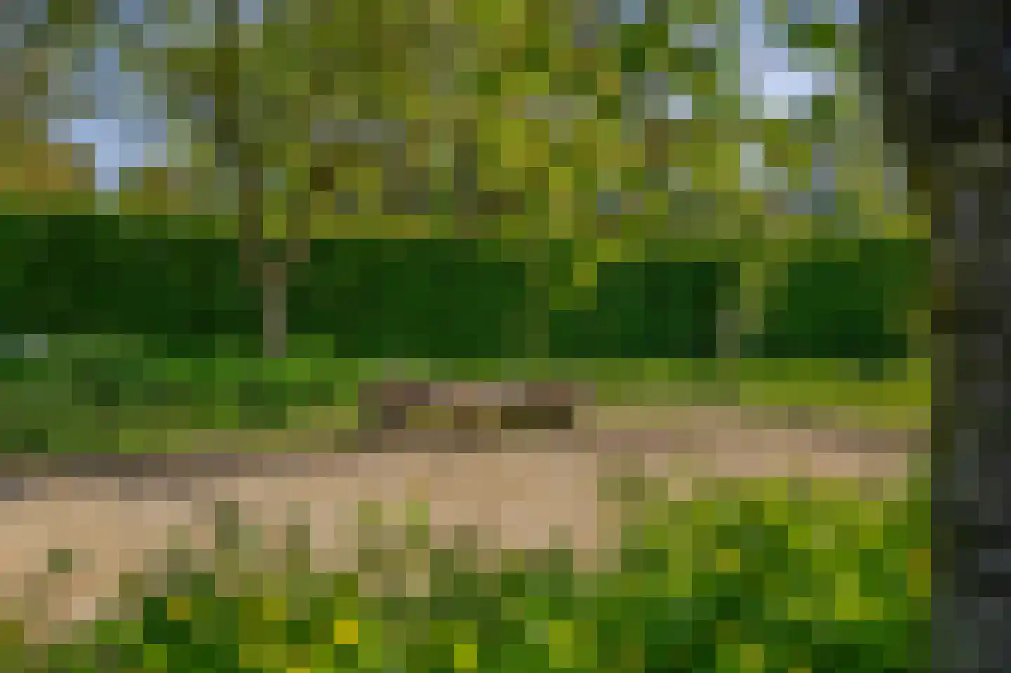 Lovendaal 9 Grubbenvorst thumbnail 43