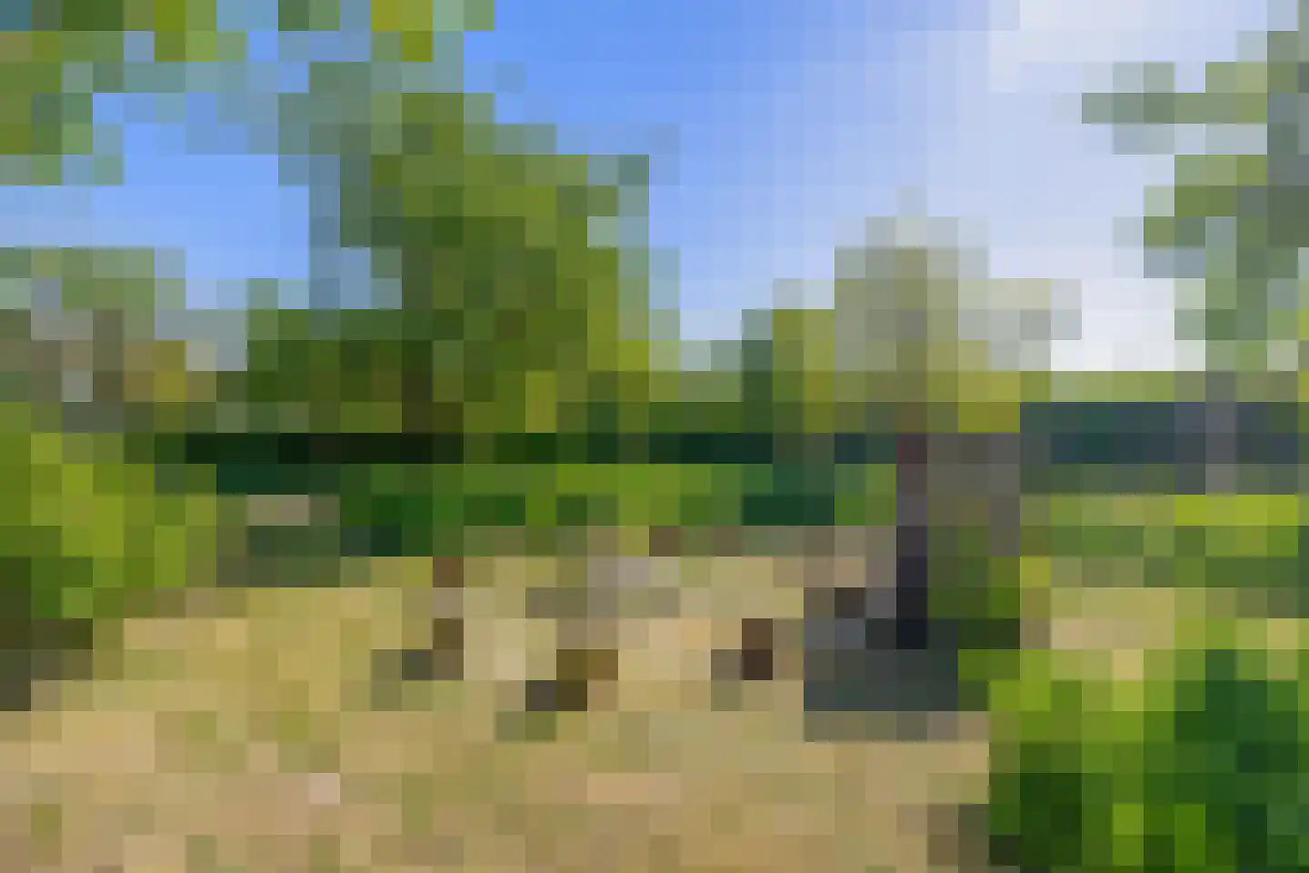 Lovendaal 9 Grubbenvorst thumbnail 44