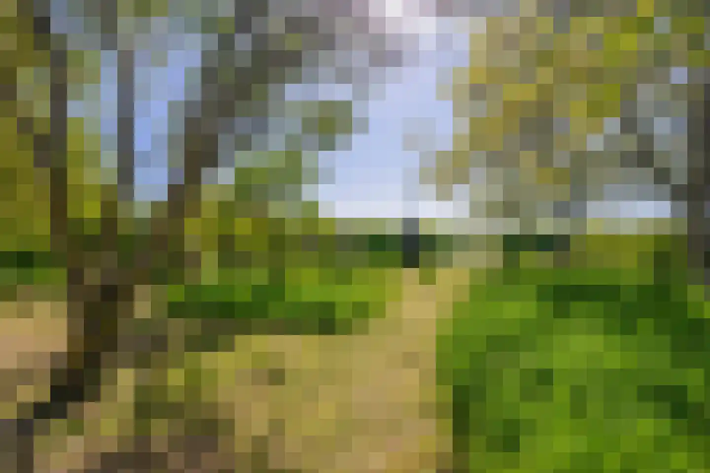 Lovendaal 9 Grubbenvorst thumbnail 47