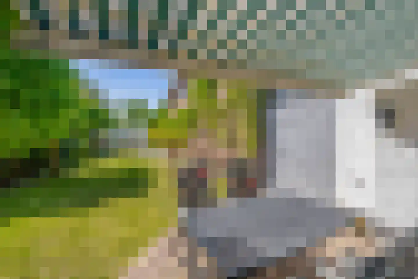 Lovendaal 9 Grubbenvorst thumbnail 52
