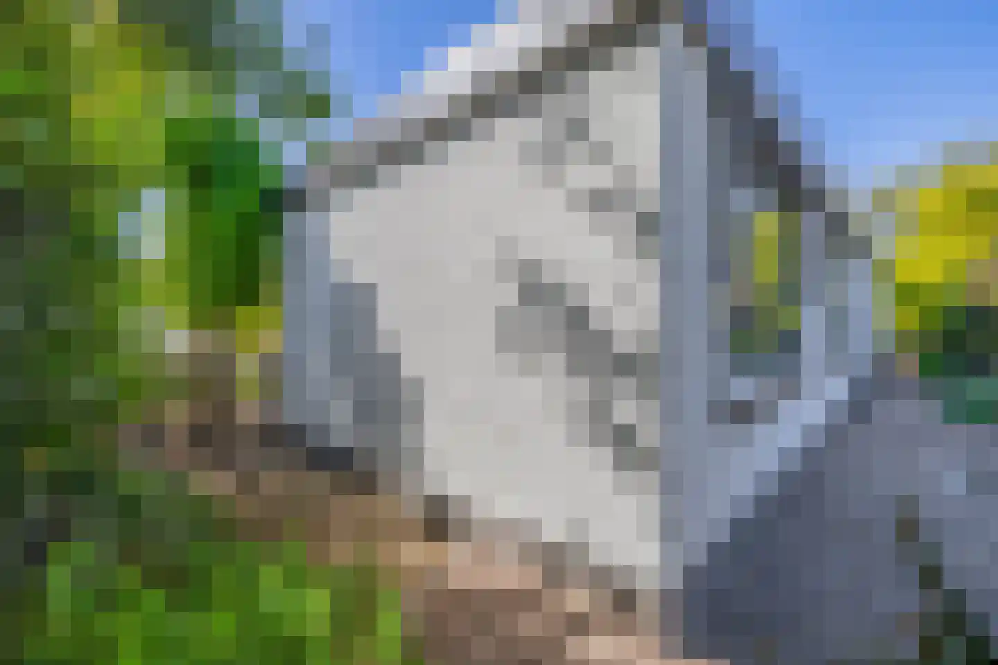 Lovendaal 9 Grubbenvorst thumbnail 55