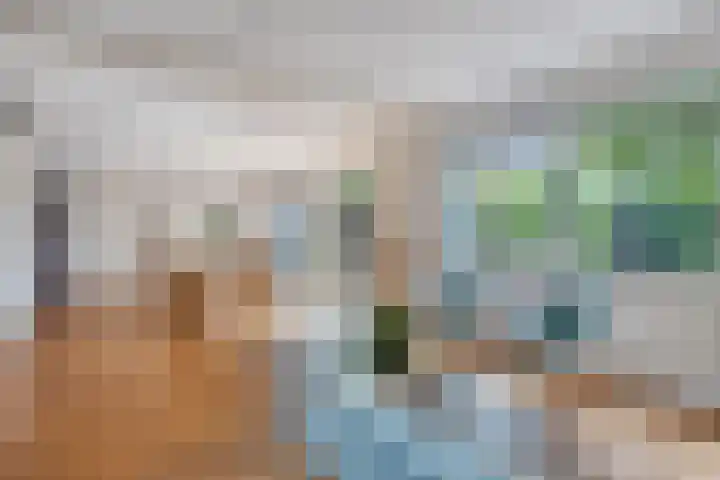 Lovendaalhoeve 29 Maastricht thumbnail 10