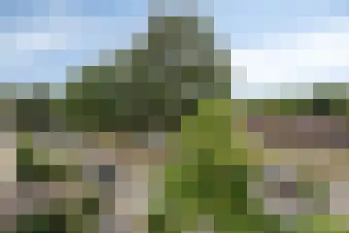 Lovendaalhoeve 29 Maastricht thumbnail 35