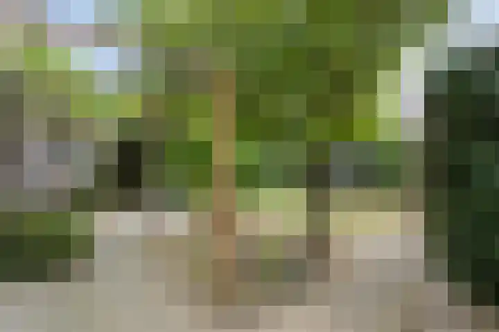 Lovendaalhoeve 29 Maastricht thumbnail 37
