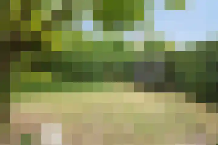 Lovendaalhoeve 29 Maastricht thumbnail 38