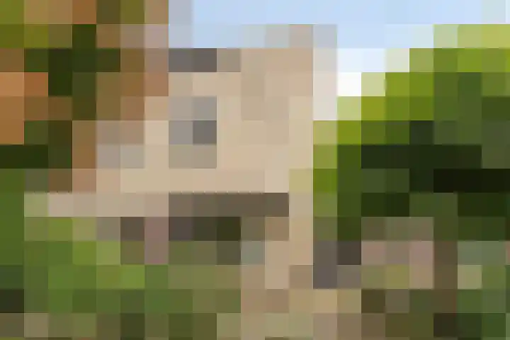 Lovendaalhoeve 29 Maastricht thumbnail 4