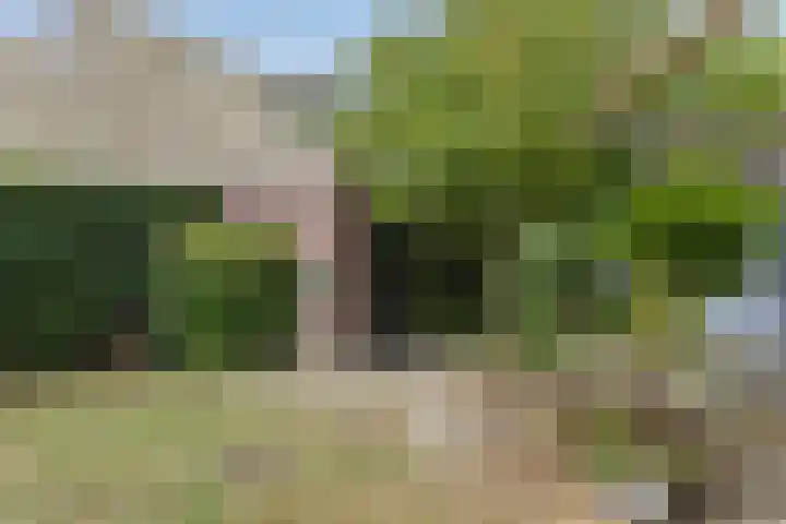 Lovendaalhoeve 29 Maastricht thumbnail 42
