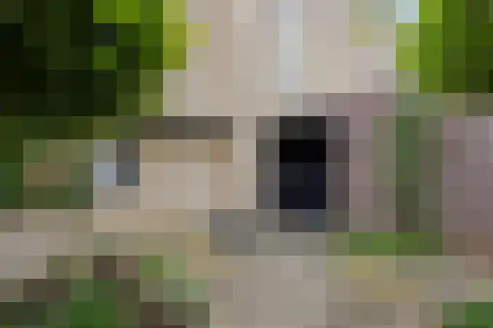 Lovendaalhoeve 29 Maastricht thumbnail 5