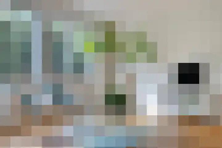 Lovendaalhoeve 29 Maastricht thumbnail 9