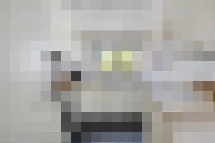 Lovendaalhoeve 35 Maastricht thumbnail 10