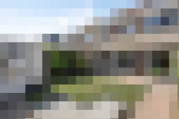 Lovendaalhoeve 35 Maastricht thumbnail 15