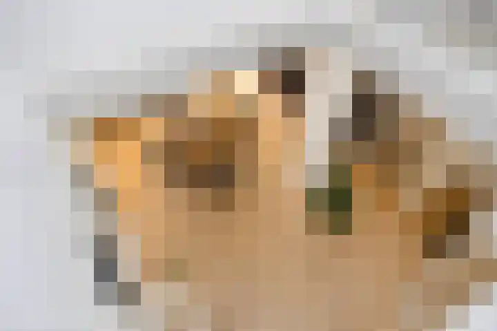 Lovendaalhoeve 35 Maastricht thumbnail 19