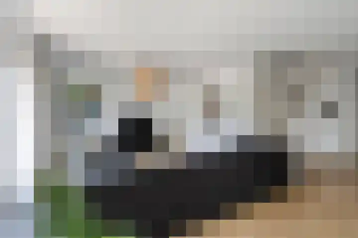 Lovendaalhoeve 35 Maastricht thumbnail 7
