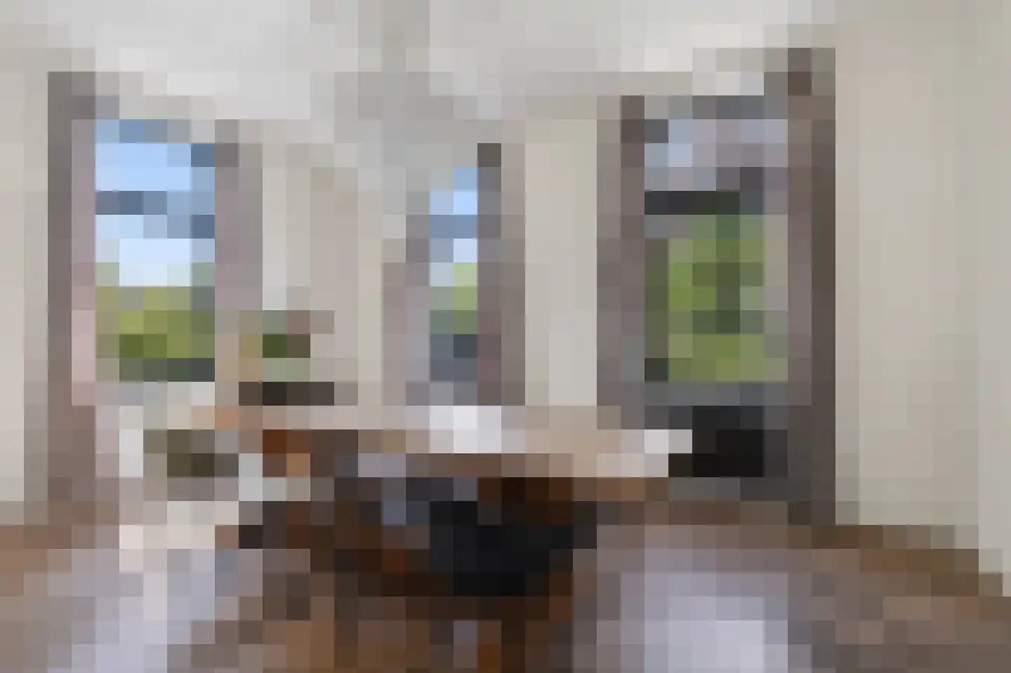 Lovendaalseweg 13 Venlo thumbnail 15