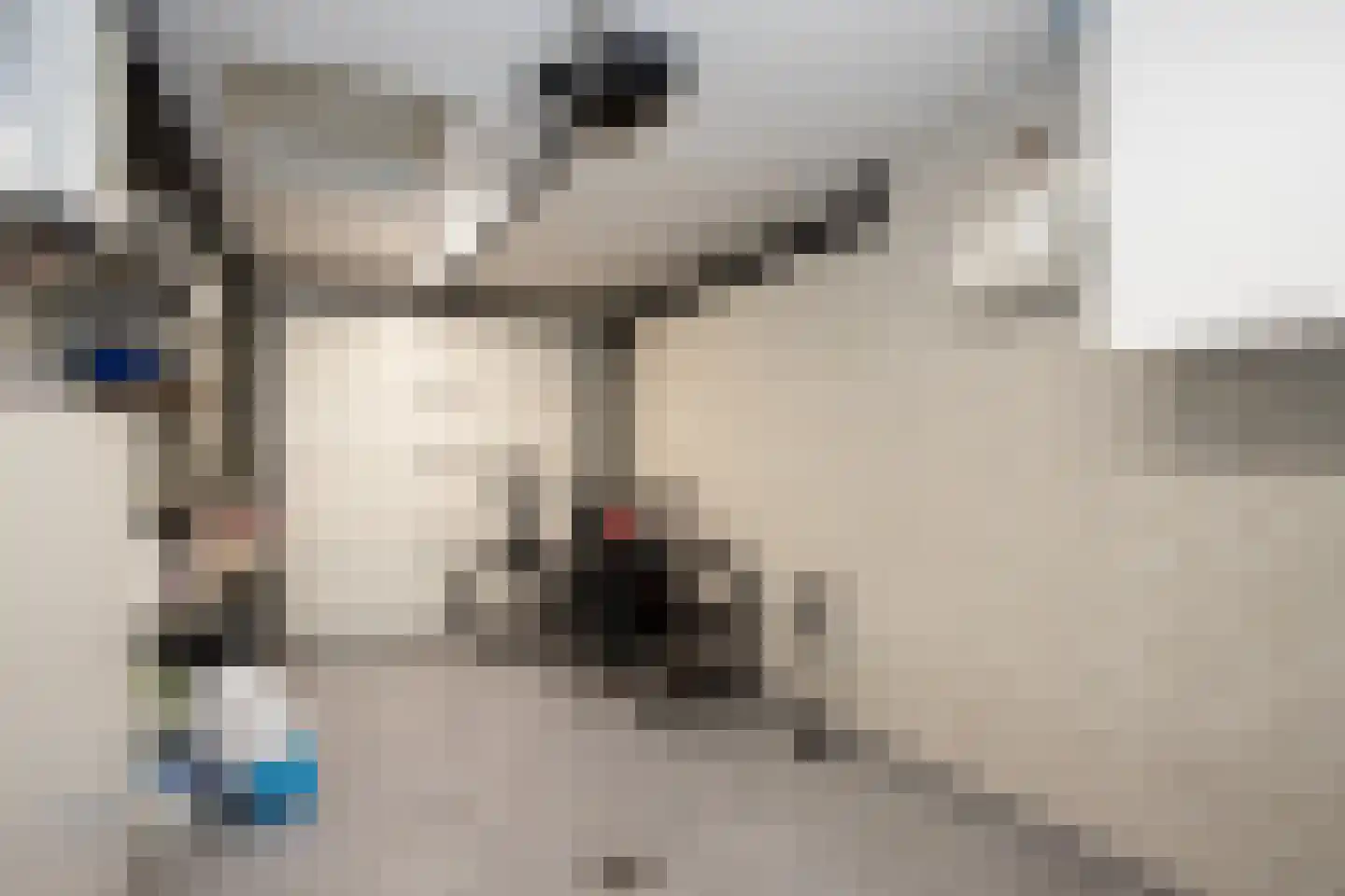 Lovensbroek 15 Reusel thumbnail 17