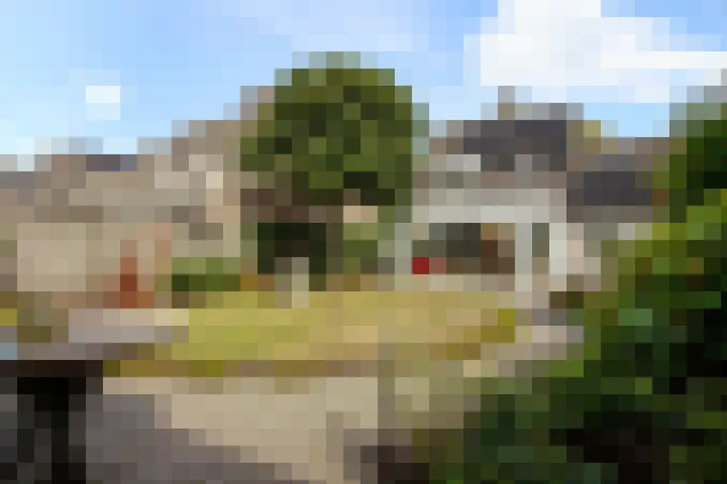 Lovensbroek 15 Reusel thumbnail 31