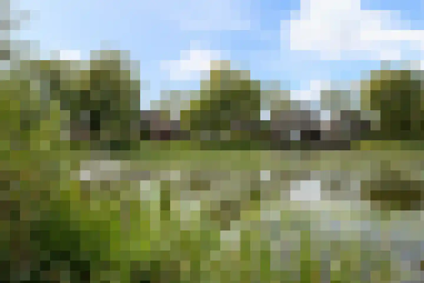 Lovensbroek 15 Reusel thumbnail 34