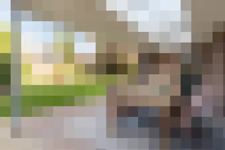 Lovensbroek 6 Reusel thumbnail 38