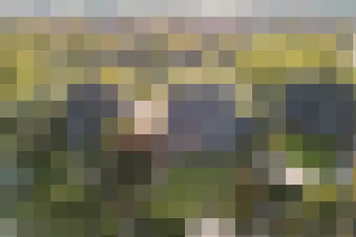 Lovensbroek 6 Reusel thumbnail 47