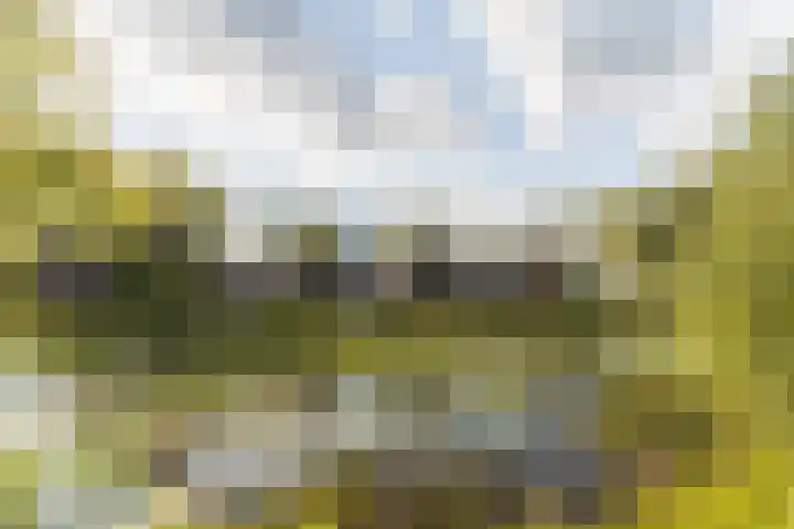 Lovensbroek 6 Reusel thumbnail 50