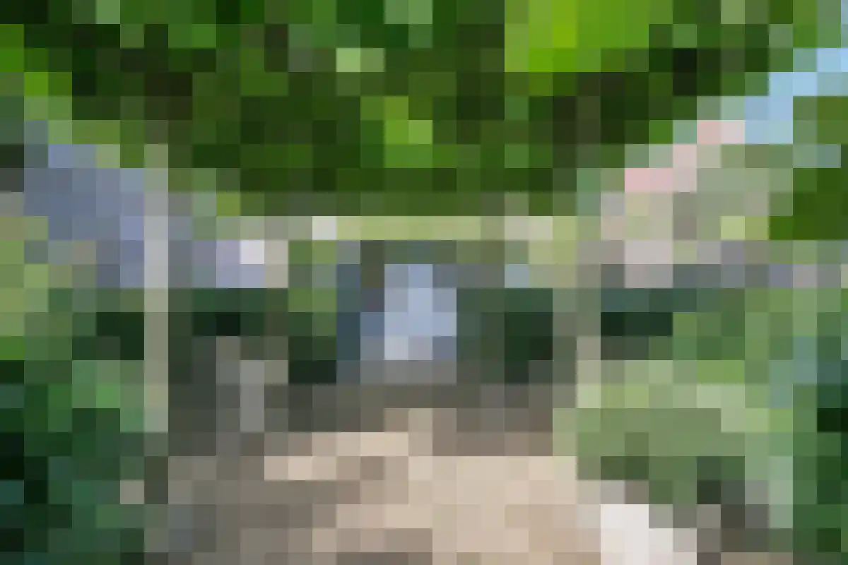 Lovensekanaaldijk 81 b Tilburg thumbnail 32