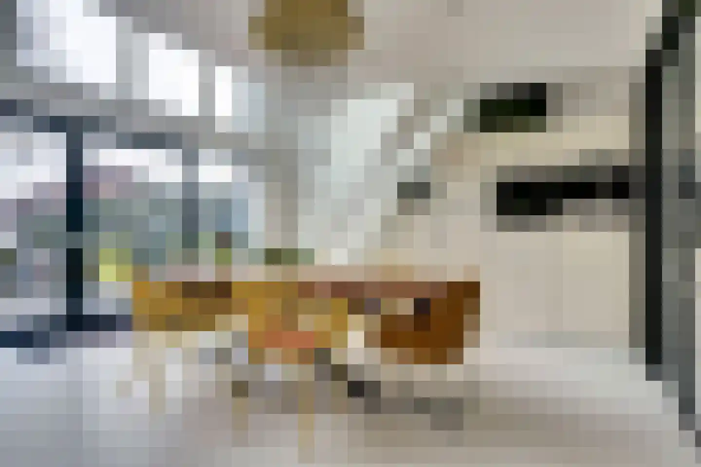 Lovensekanaaldijk 81 b Tilburg thumbnail 6