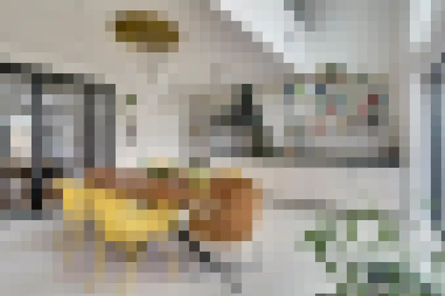 Lovensekanaaldijk 81 b Tilburg thumbnail 7