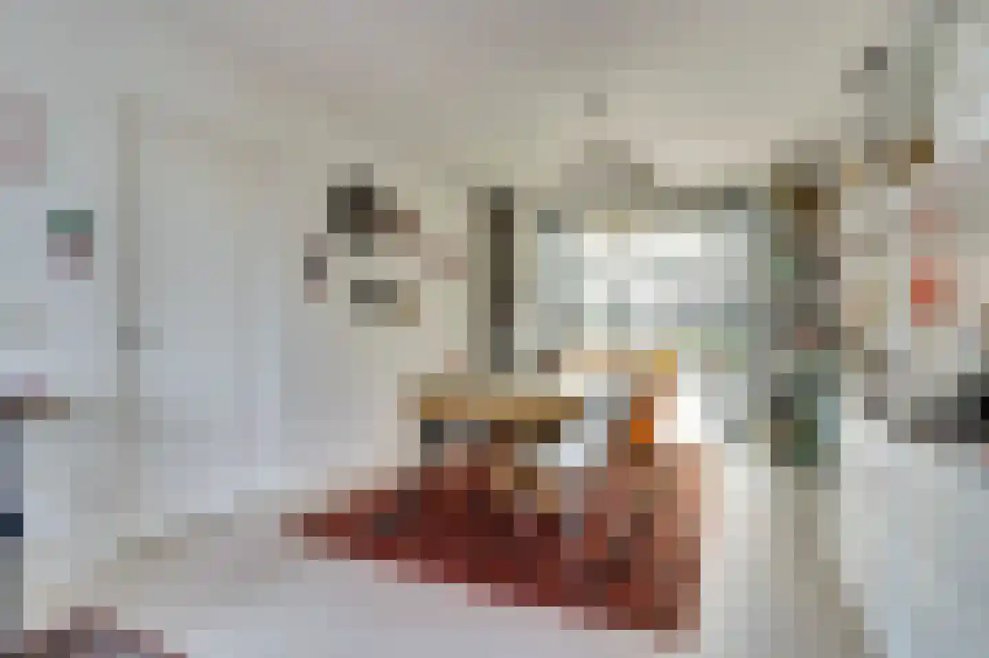 Lovensekanaaldijk 81 b Tilburg thumbnail 9