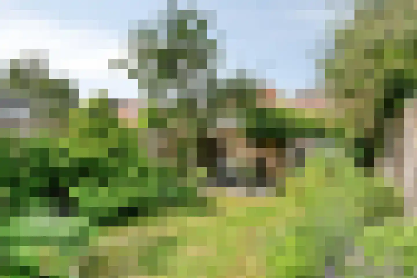 Lovensestraat 138 Tilburg thumbnail 4