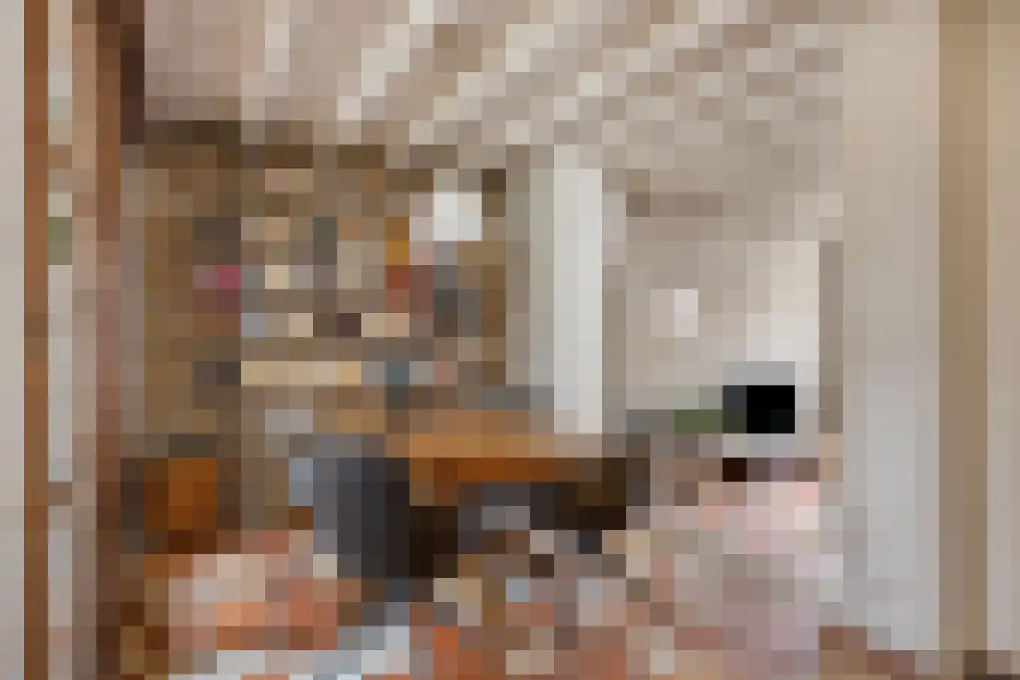 Lovensestraat 178 d Tilburg thumbnail 9