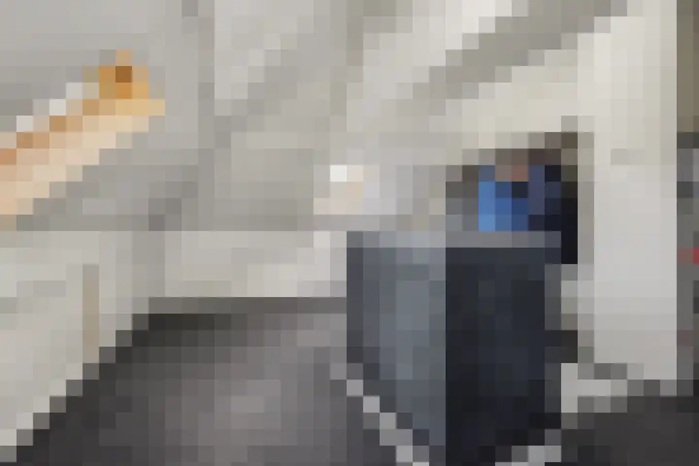 Lovensestraat 51 Tilburg thumbnail 33