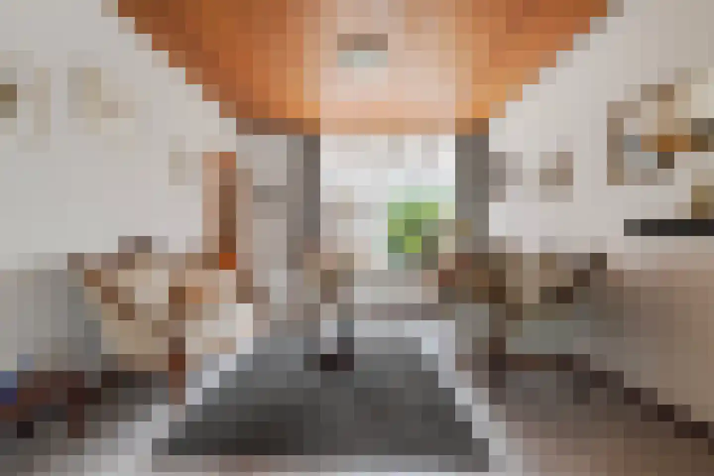 Lovensestraat 66 Tilburg thumbnail 10
