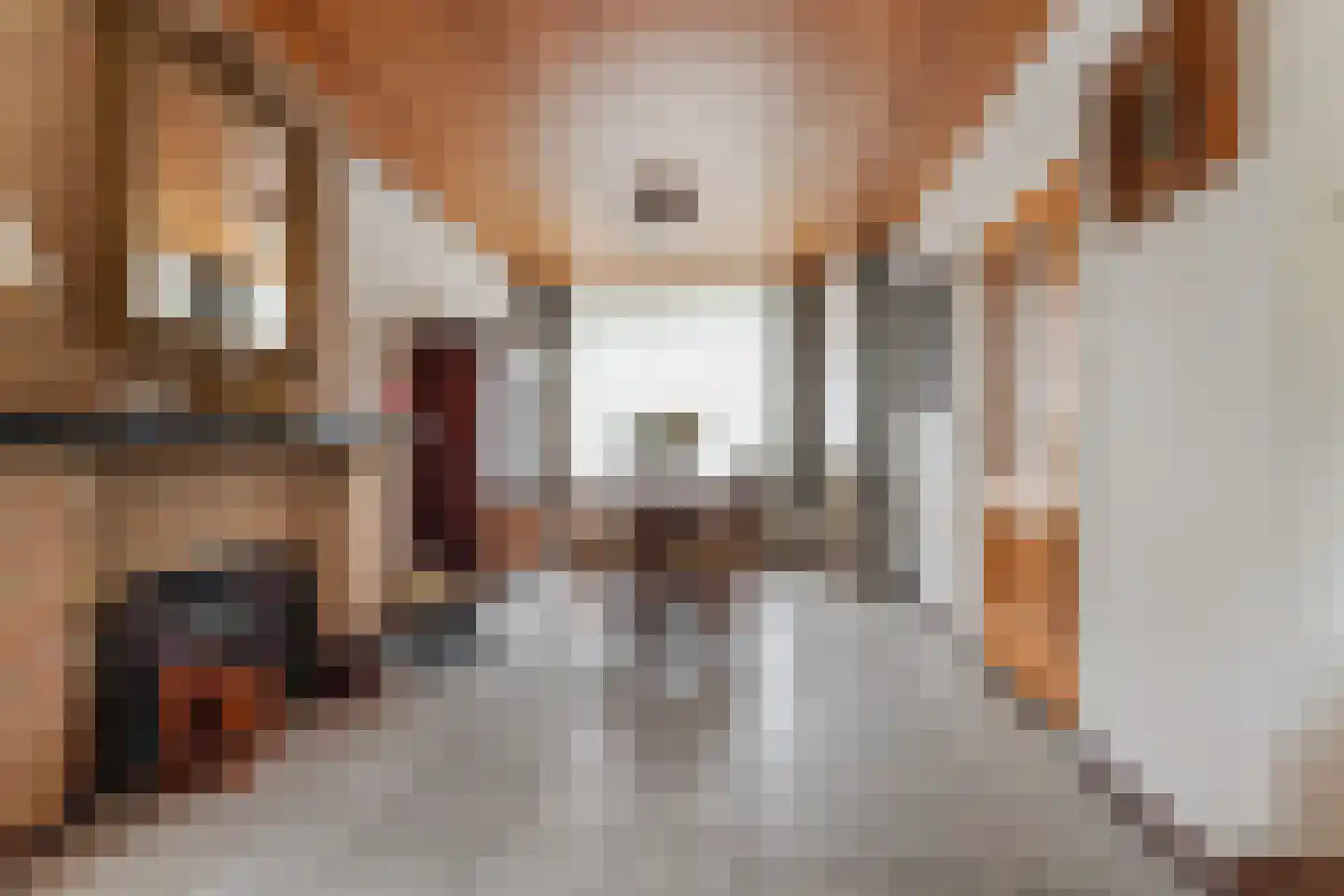 Lovensestraat 66 Tilburg thumbnail 11