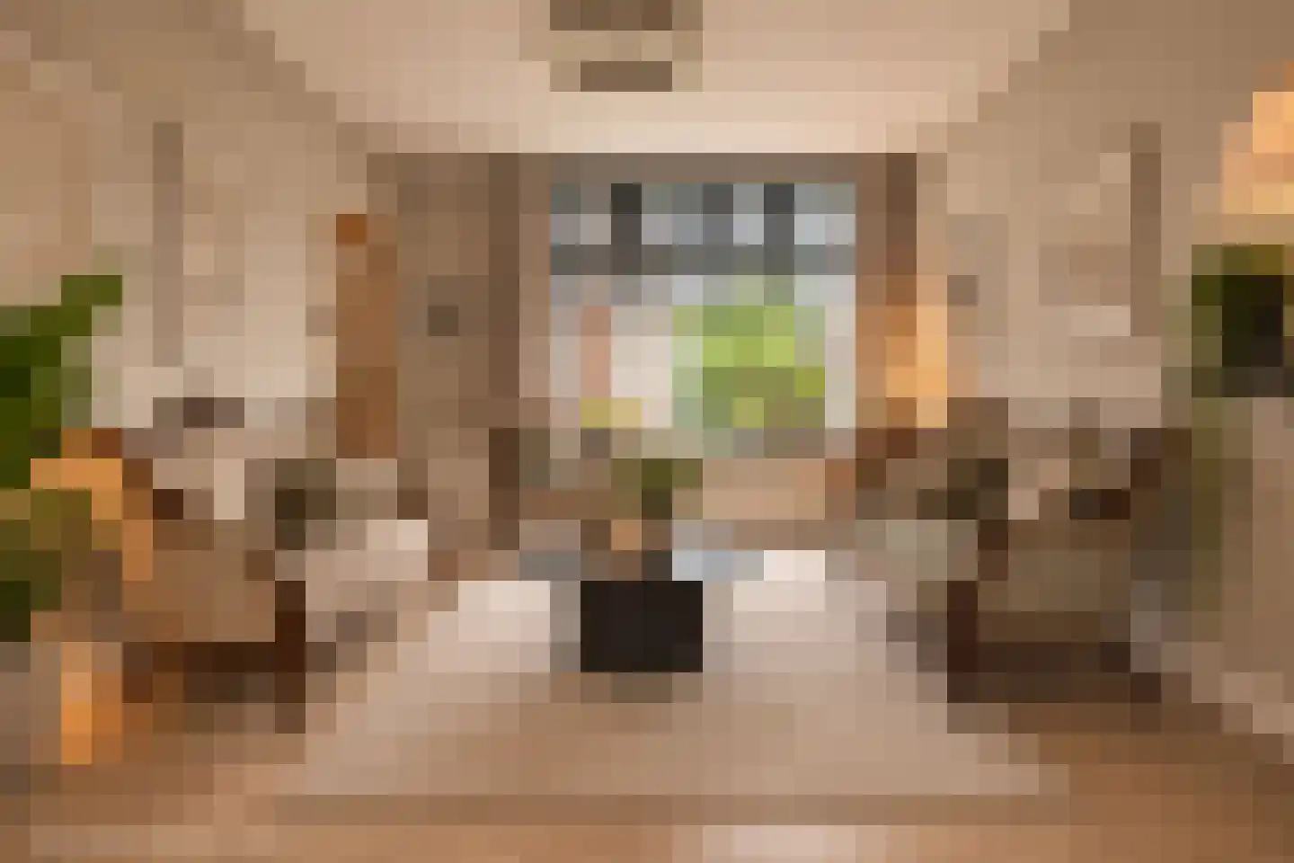 Lovensestraat 66 Tilburg thumbnail 11