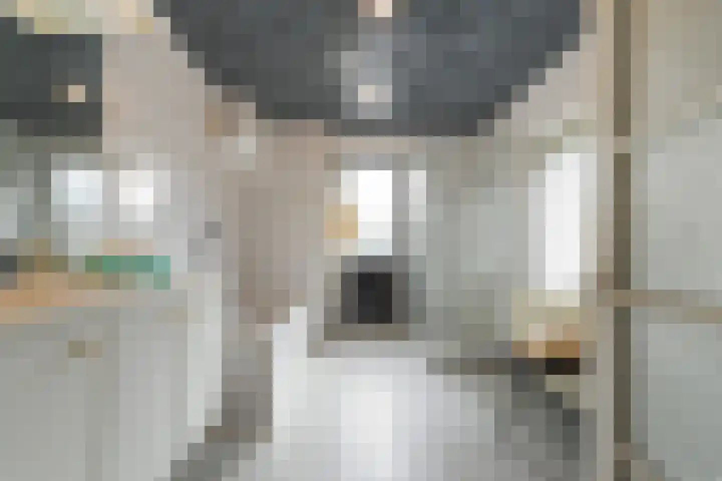 Lovensestraat 66 Tilburg thumbnail 18