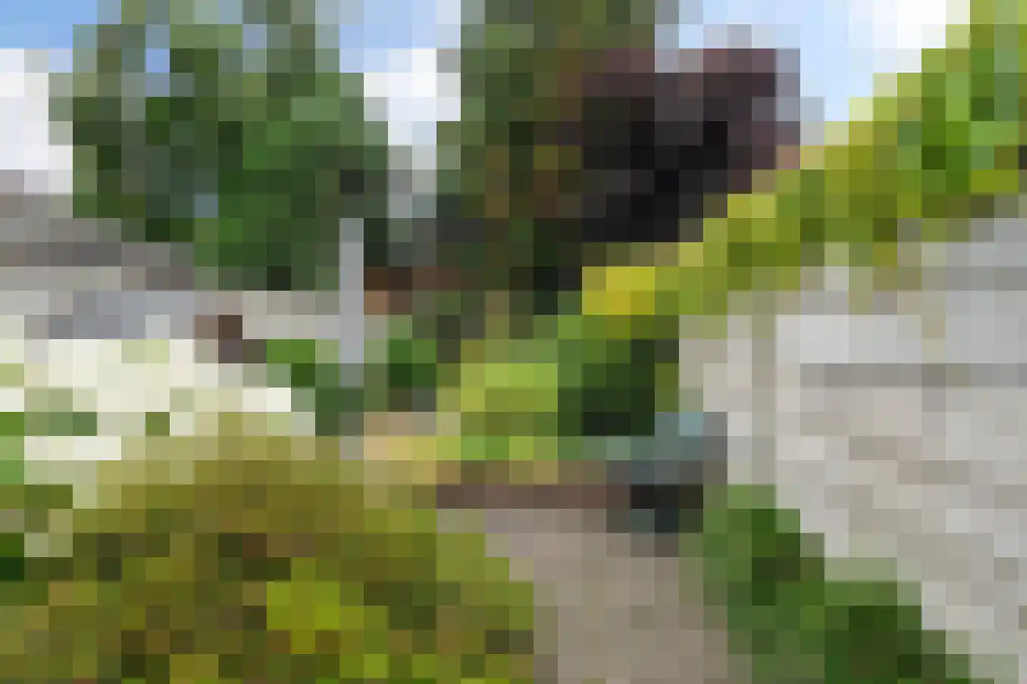 Lovensestraat 66 Tilburg thumbnail 35