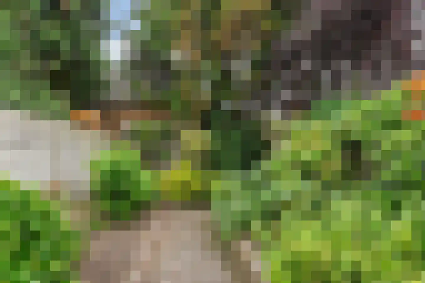 Lovensestraat 66 Tilburg thumbnail 36