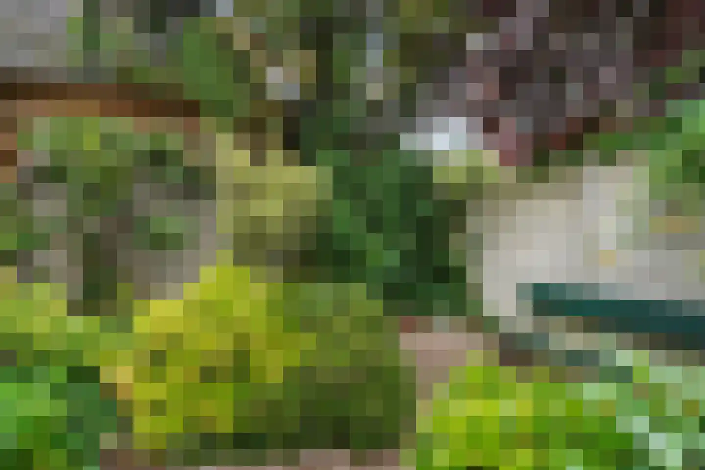 Lovensestraat 66 Tilburg thumbnail 37