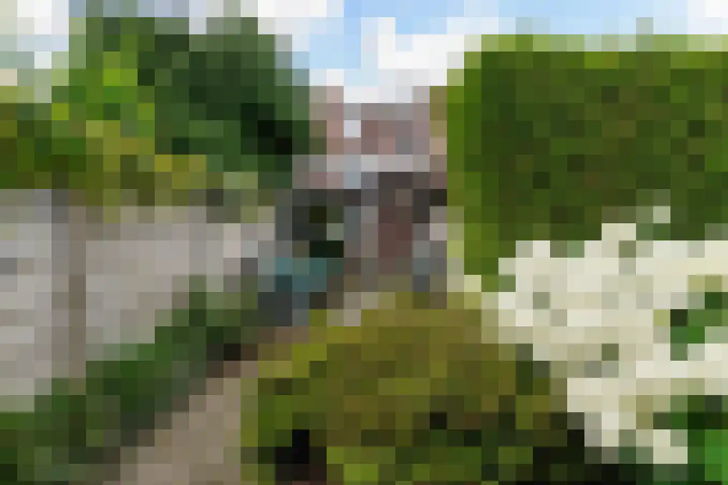 Lovensestraat 66 Tilburg thumbnail 38