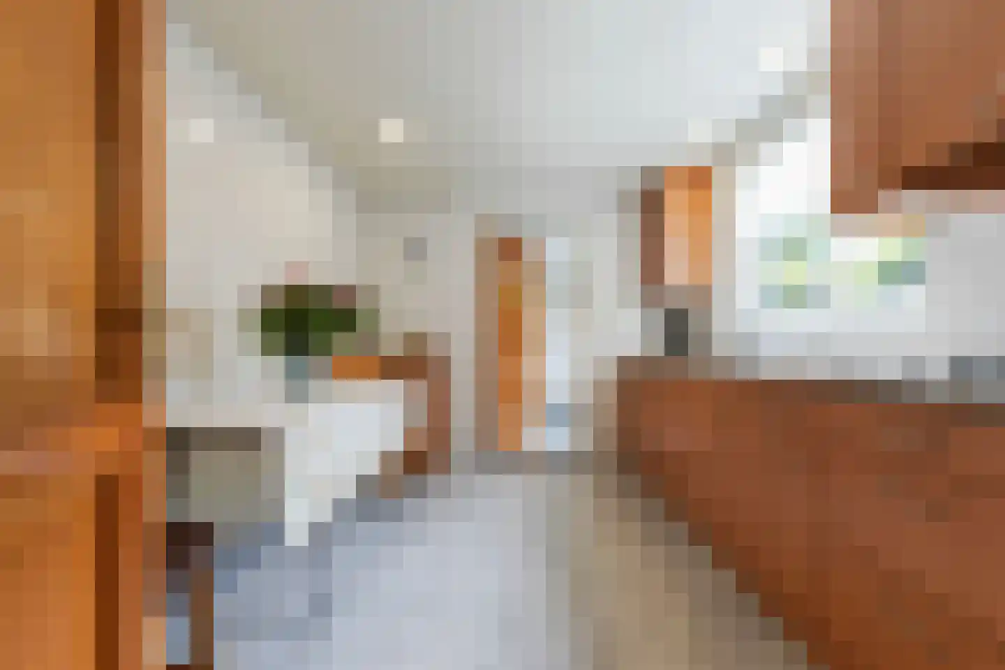 Lovensestraat 66 Tilburg thumbnail 7