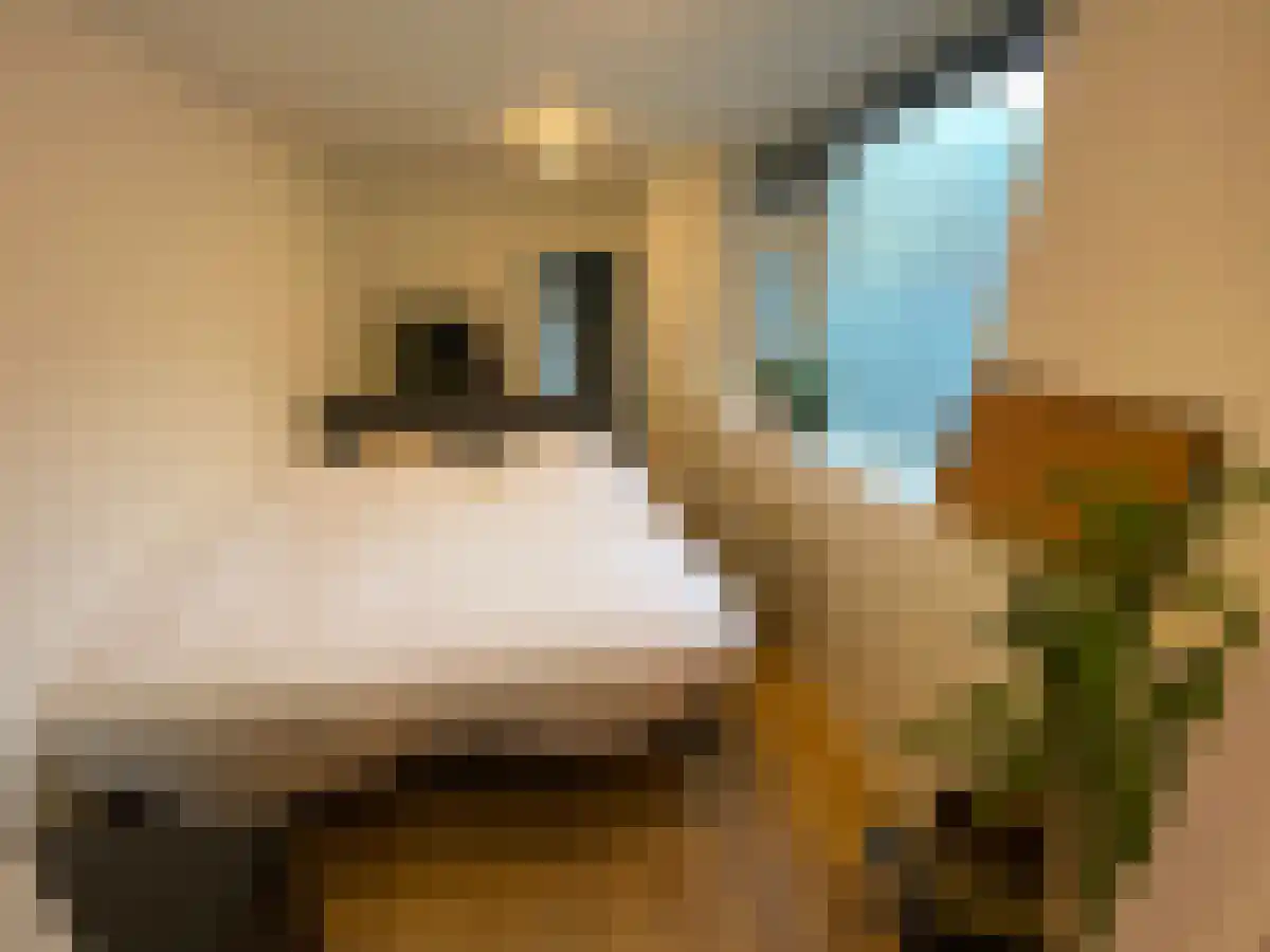 Lovensestraat 93 1 Tilburg thumbnail 6