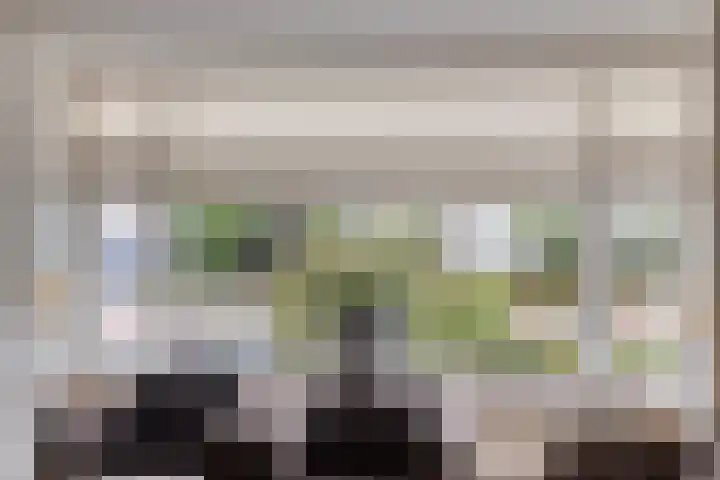 Lover 120 Borne thumbnail 11
