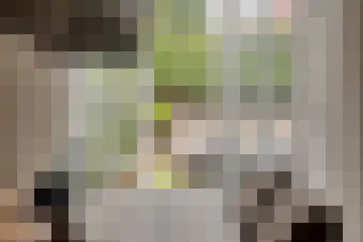 Lover 120 Borne thumbnail 14